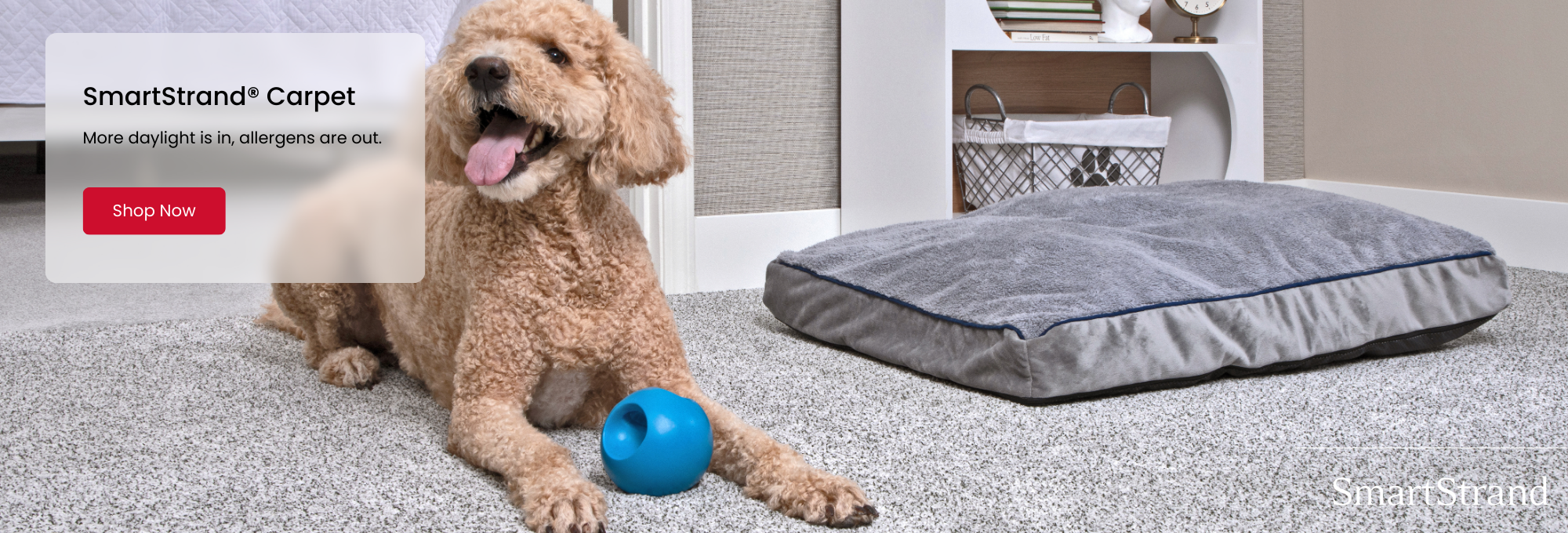 Browse Mohawk Flooring's SmartStrand Carpet